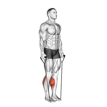 Band Two Legs Calf Raise - (Band Under Both Legs)