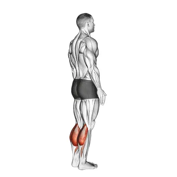 Bodyweight Standing Calf Raise