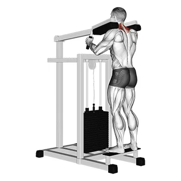 Lever Gripless Shrug