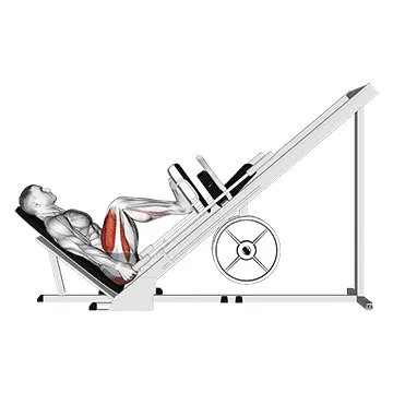 Sled 45° Leg Press