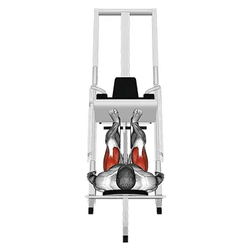 Sled 45° Leg Press