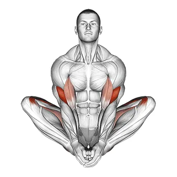 Butterfly Yoga Pose