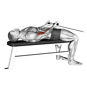 Cable Lying Bicep Curl