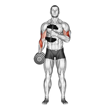 Dumbbell Cross Body Hammer Curl