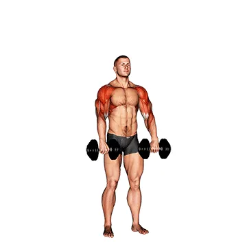 Dumbbell Cuban Press