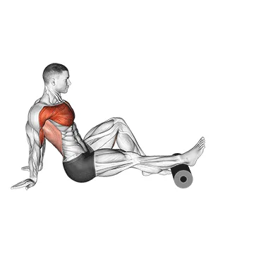 Roller Seated Single Leg Shoulder Flexor Depresor Retractor
