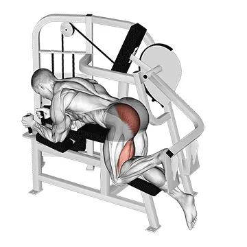 Lever Hip Extension