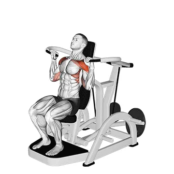 Lever Shoulder Press