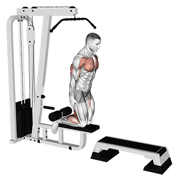 Inverse Leg Curl (On Pull-up Cable Machine)
