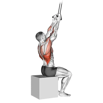 Band Fixed Back Close Grip Pulldown