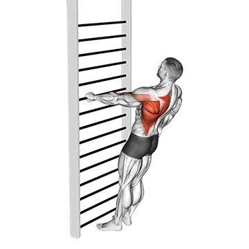 Bodyweight Standing One Arm Row