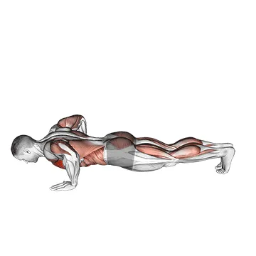 Modified Hindu Push-up