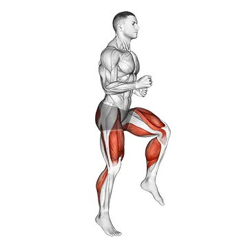 Half Knee Bends