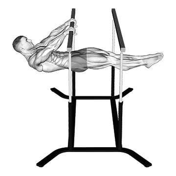 Front Lever