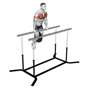 Weighted Straight Bar Dip