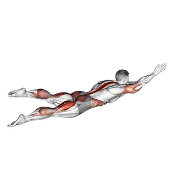 Swimmer Kicks V. 2