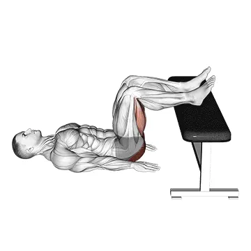 Glute Bridge Two Legs On Bench
