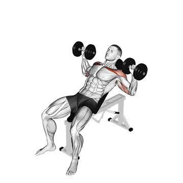 Dumbbell Incline Alternate Press