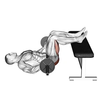 Barbell Glute Bridge Two Legs On Bench