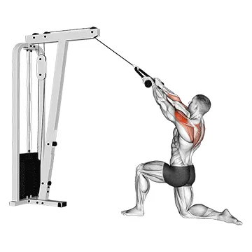 Cable Kneeling Rear Delt Row (With Rope)