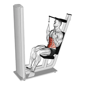 Lever Seated Crunch